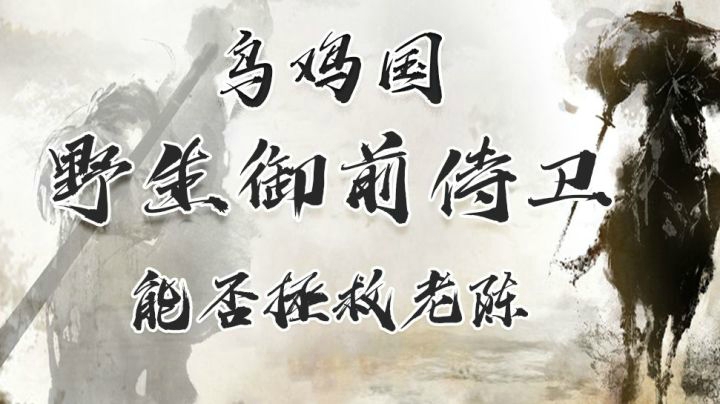 武侠乂乌鸡国野生御前侍卫，能否拯救老陈与皇后