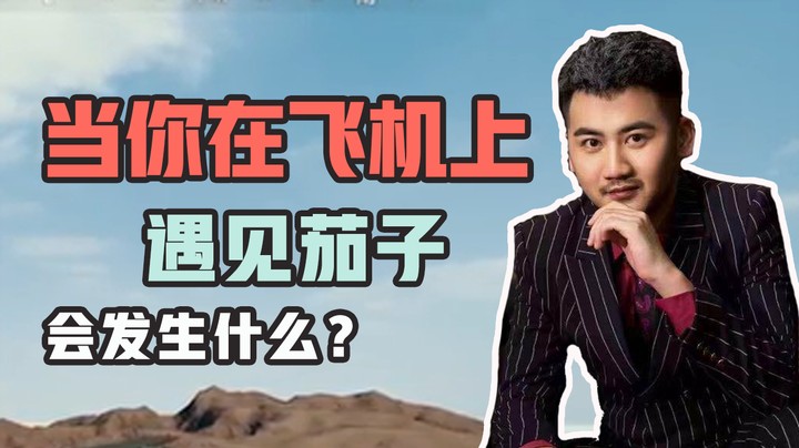 【茄子】如果你在飞机上遇到茄子会发生什么？