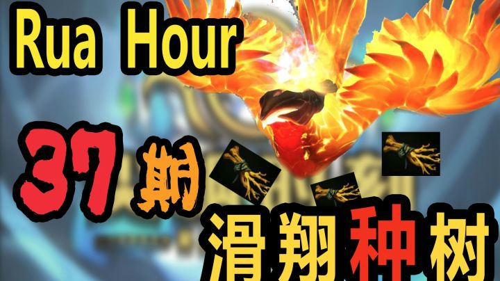 尖枫时刻 Ep.37 滑翔种树！