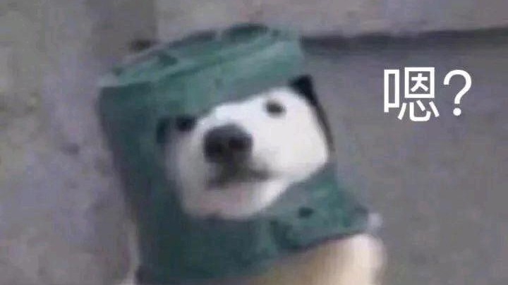 单排上分