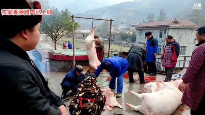 我在斗鱼看深山大咖直播美食