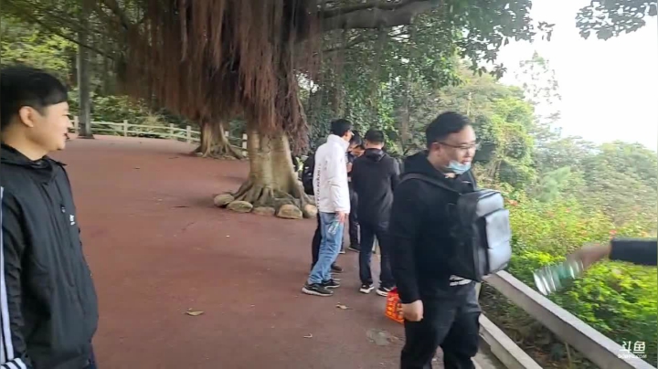 【2020-12-19 15点场】叶子户外：19号广东白云山水友聚会，