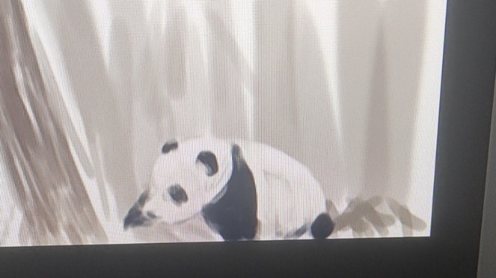 冲冲冲