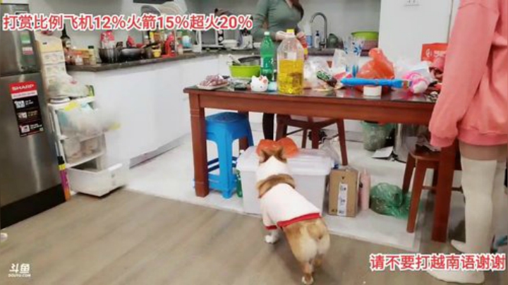 我在斗鱼看越南皇上直播户外