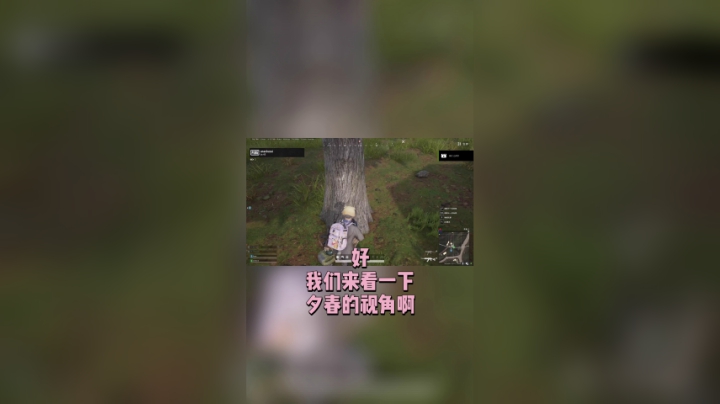 卧龙凤雏队