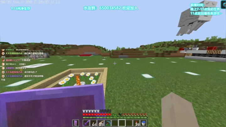 彩虹马 装修庭院
