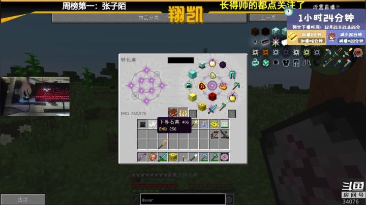 【2020-12-21 19点场】末影龙协会丶翔凯：【翔凯】矿物菌种ep1