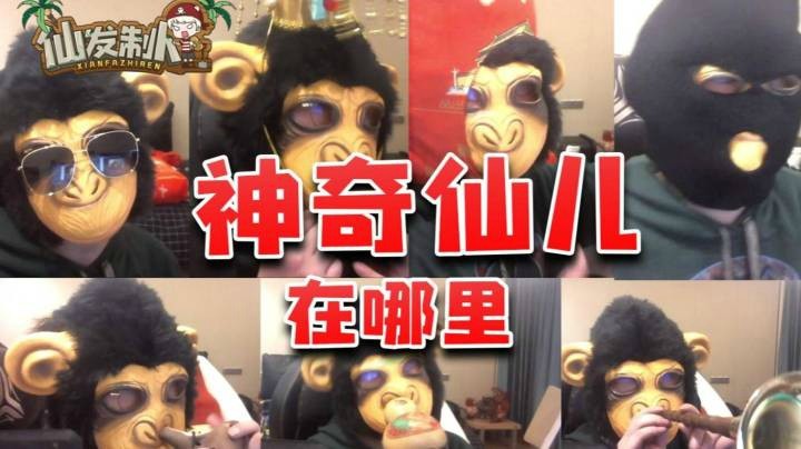 【仙某某】仙某某拆礼物的日常！原来猴子穿鞋之前都要闻一闻！