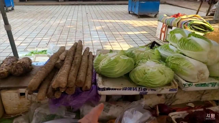 【2020-12-21 14点场】川味箩卜：新的一周，充满希望！冲冲冲