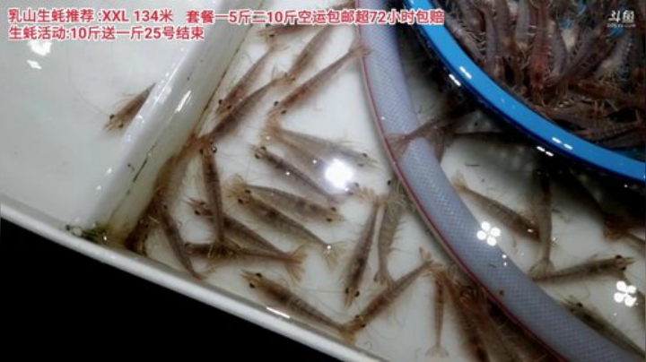 【美食】威海高哥587997的精彩时刻 20201221 15点场