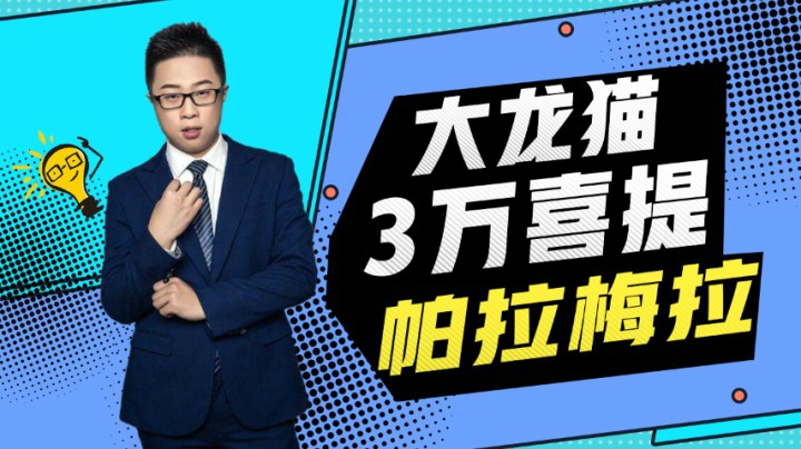 大龙猫是如何用3万块买到帕拉梅拉的