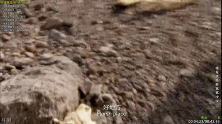 【科普】酷炫你你你的精彩时刻 20201222 09点场