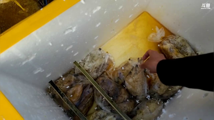 【2020-12-22 17点场】叶子户外：《纪实直播》德宏到西双版纳，梁河县