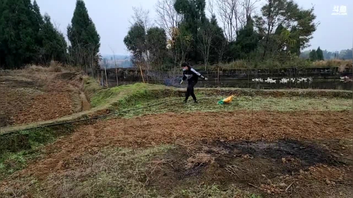 【2020-12-22 14点场】川味箩卜：基地甲鱼池建设！