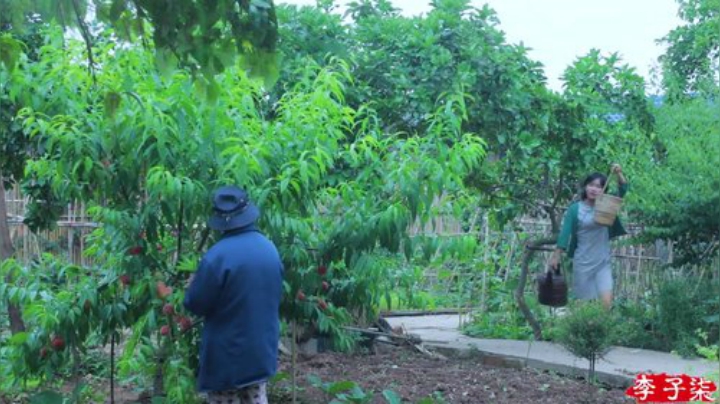 我在斗鱼看李子柒liziqi直播美食