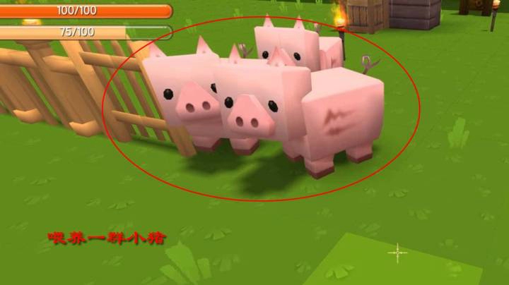 迷你世界74：我在庄园内造了一个猪圈，用野萝卜大餐养了一群小猪