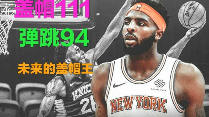 新增球员测评：联盟的下一个盖帽王？米切尔.罗宾逊