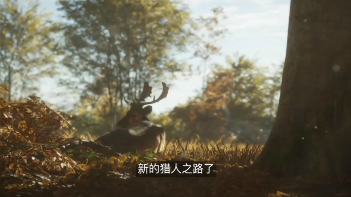 打什么猎也打不着啊《猎人：野性的呼唤》推荐