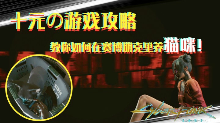 【十元/攻略】今天教大家在游戏里养一只自己的猫咪！“小不点”—云养猫啦！云养猫啦！