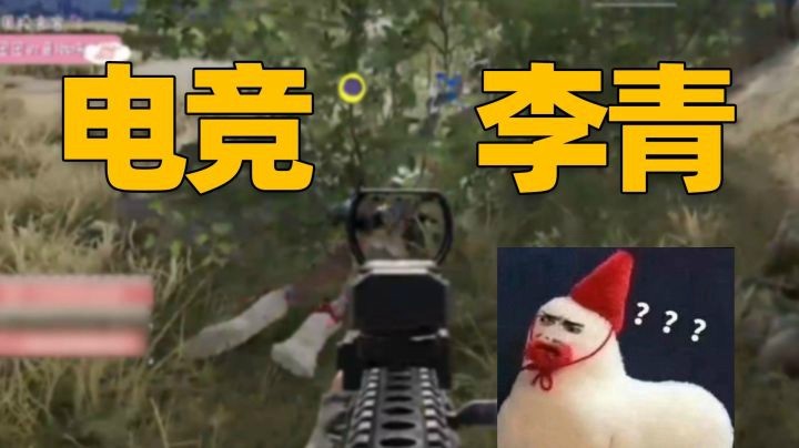 【一条小团团】电子竞技不需要视力~