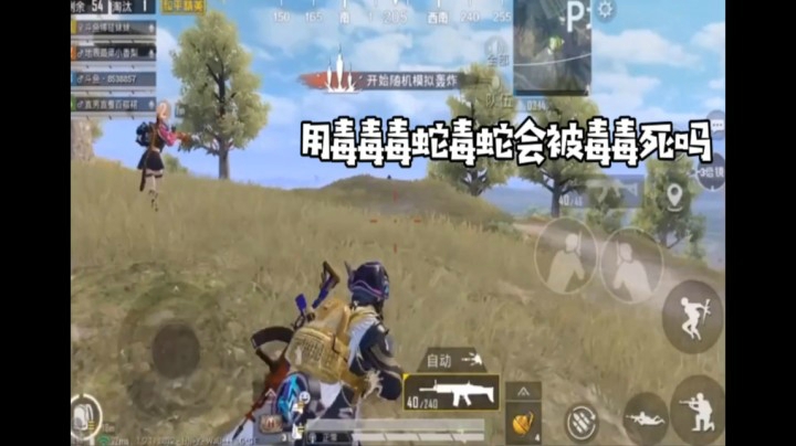 只要帅，就能得到芳心。