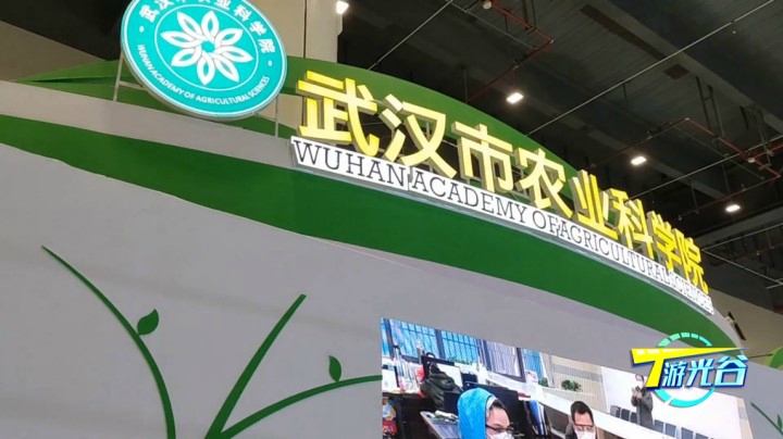 第二十四期T游光谷之光谷农博会1223