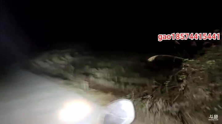 【2020-12-23 19点场】魅力生活i：晚上河道玩玩