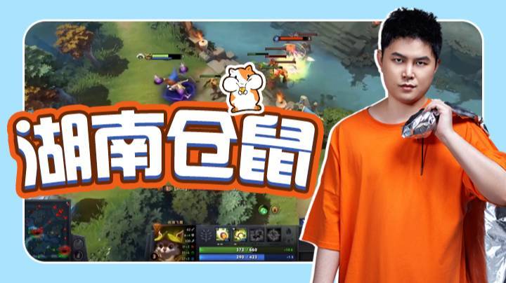 湖 南 仓 鼠
