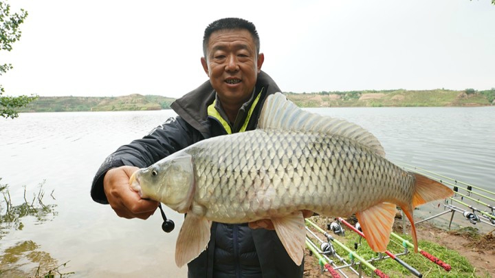 《游钓中国4》第14集 泔河鱼情忧人心 更换钓位终破鱼口