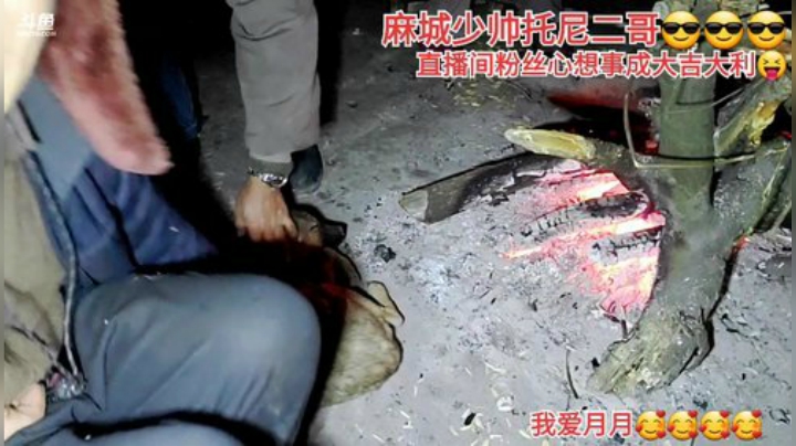 我在斗鱼看许文强户外直播户外