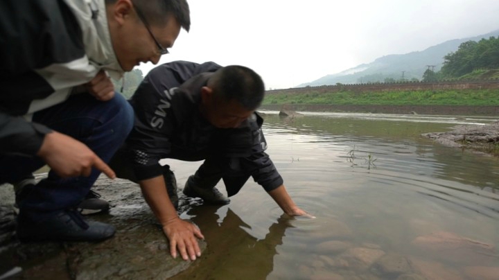 《游钓中国4》第12集 流水不带漂 灵钝中取红尾副鳅