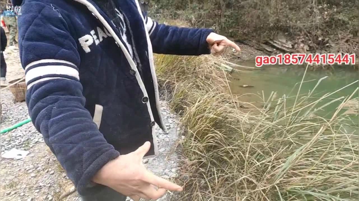 【2020-12-24 11点场】魅力生活i：继续干20年没干的塘