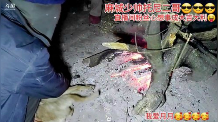 我在斗鱼看许文强户外直播户外