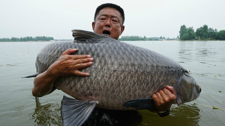 《游钓中国4》第11集 巅峰之战 巨物终现