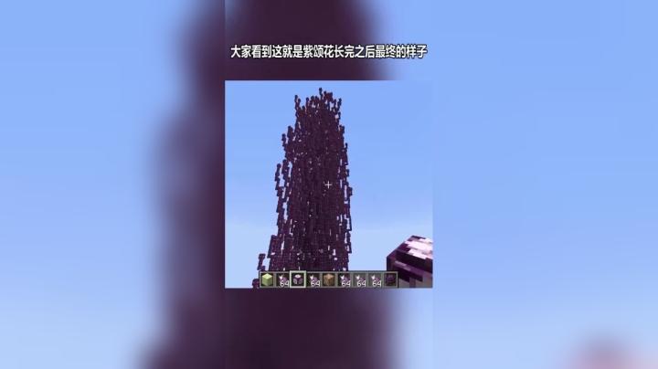 我的世界超大紫颂花