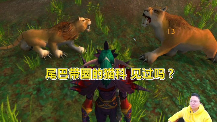 魔兽世界怀旧服：比修玛和断牙更稀有的宠物，造型也是独一无二的