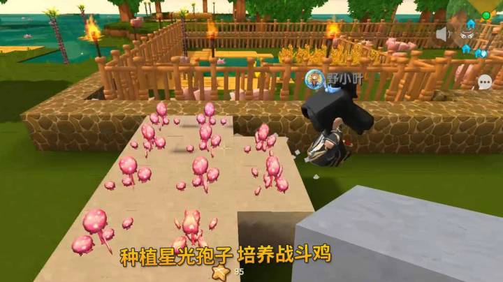 迷你世界198：我和贤弟返回地球，种植星光孢子，准备培养战斗鸡