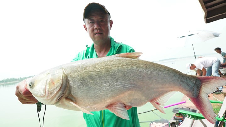 《游钓中国4》第19集 船钓西河白鲢 百锚中觅正口
