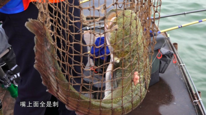 《游钓中国4》第22集  探秘宜春独有钓法，赣江流域追寻大口鲶