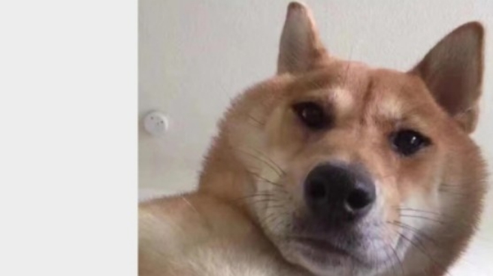 ，
