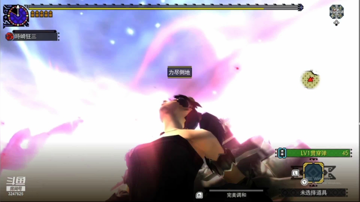 【2020-12-24 19点场】乱舞丶Hahage：MHGU死磕天彗的菜秃