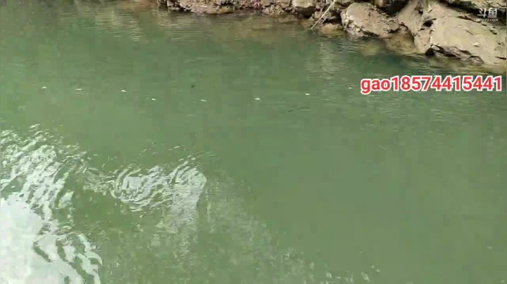 【2020-12-25 11点场】魅力生活i：20年野塘继续走起