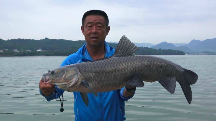 《游钓中国4》第35集 清江猎青第一战 几经辗转多磨难