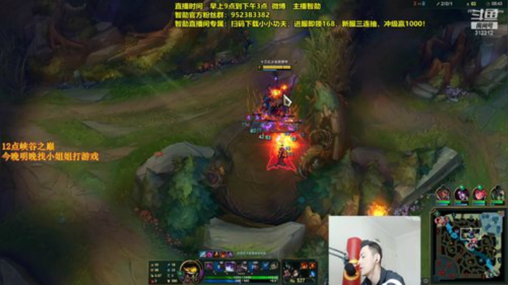 我在斗鱼看智勋勋勋勋直播英雄联盟