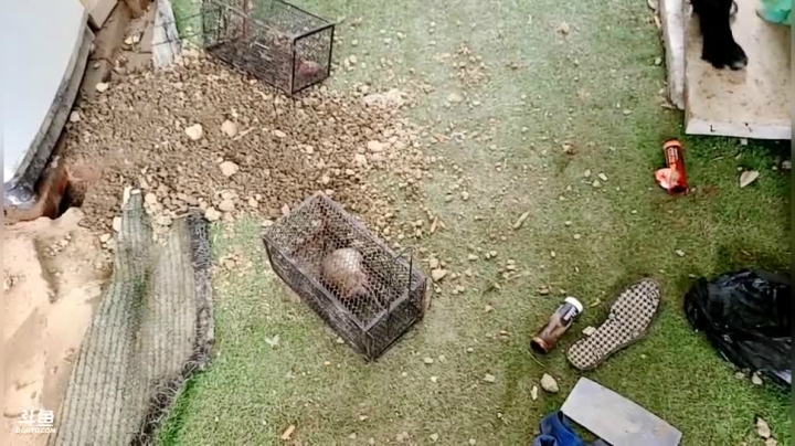 【2020-12-26 15点场】逐梦兄弟：回成都到基地开播