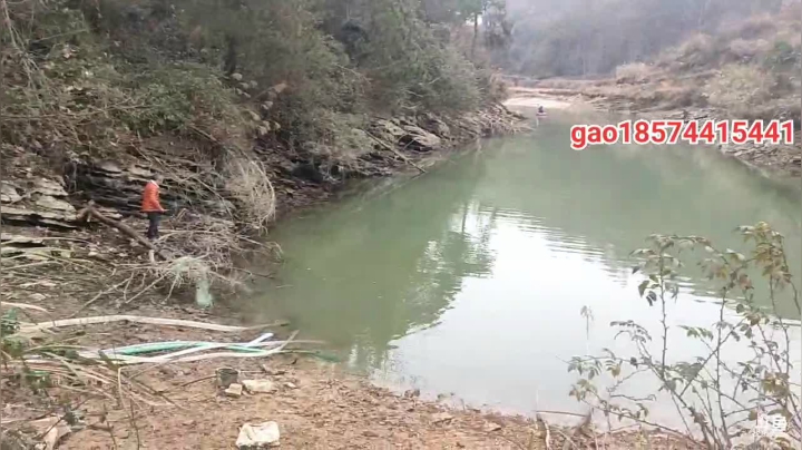 【2020-12-26 12点场】魅力生活i：继续干大货 挖冬笋