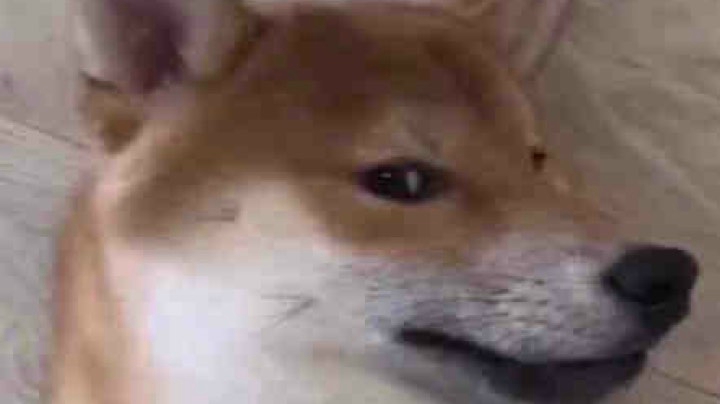 12.27*1