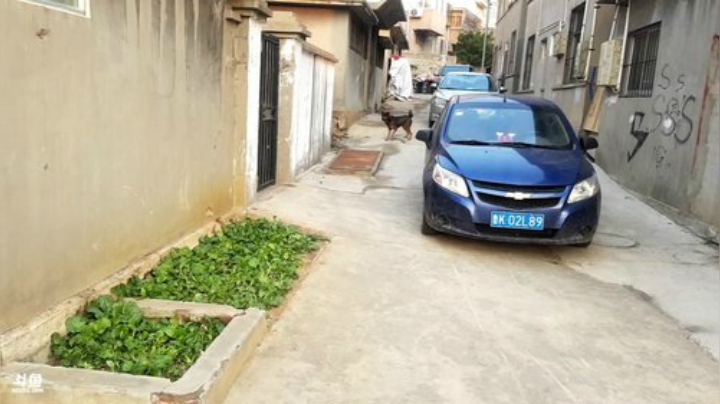 【美食】威海高哥587997的精彩时刻 20201227 15点场