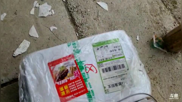 【2020-12-27 13点场】逐梦兄弟：11点开播