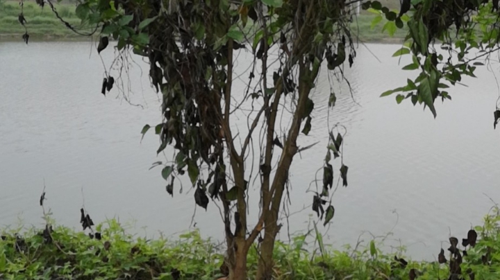 社区元旦晚会节目欣赏